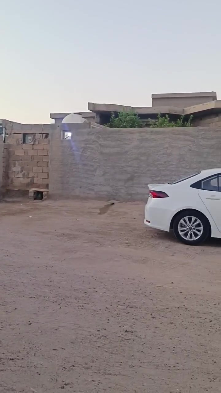 بيت للبيع مساحه 250  استقبال   غرفتين نوم وصاله ومطبخ حار وبارد  ومطبخ ثاني خارجي   كامل البيت من داخل فقط لبخ واجهيه بعده      السعر 40 وبي مجال المكان الفلوجه الشهابي قرب معمل سبنت الاستفسار ***********
