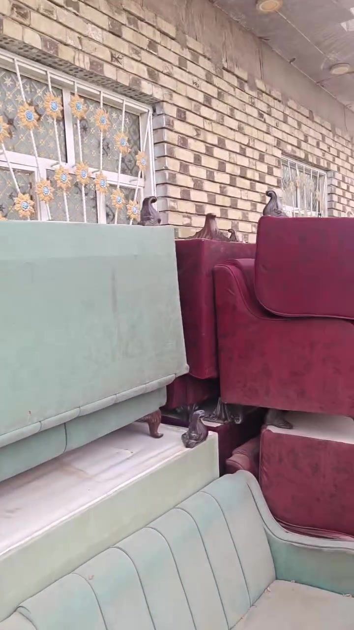 قنفات • استخدام قليل • مناسب للمناسبات