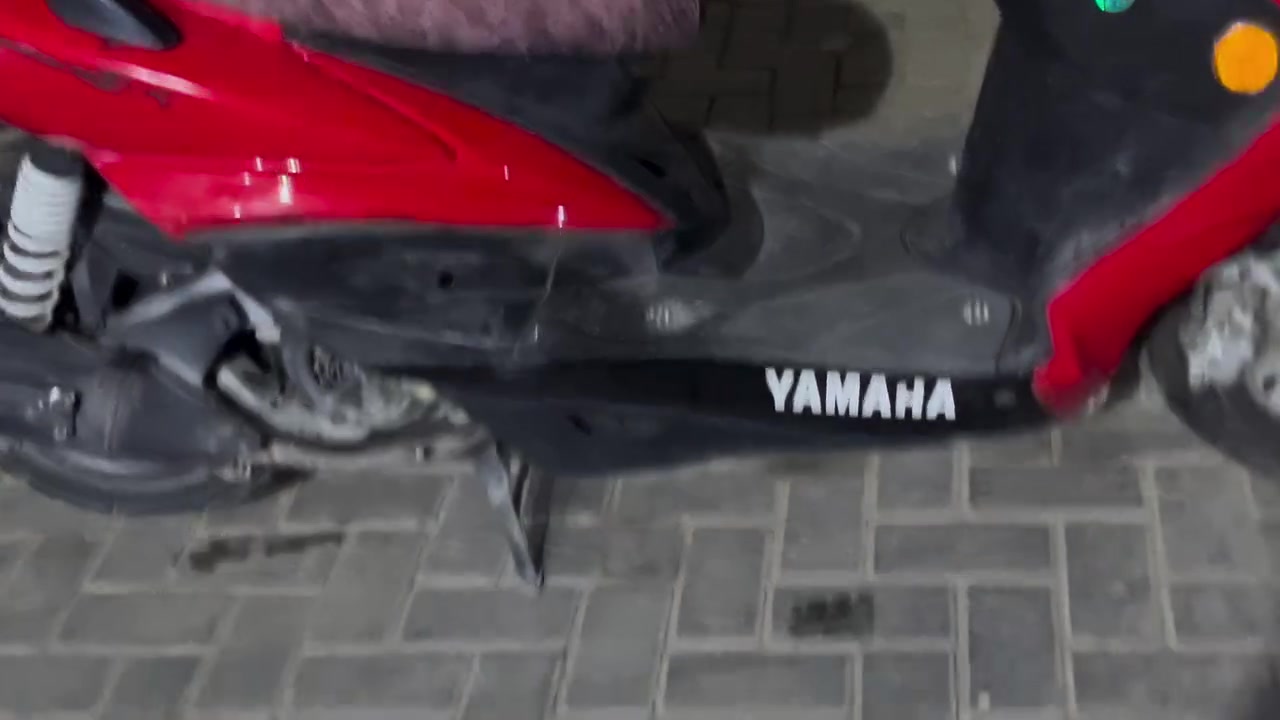 سكنس فحل • نضيفه • زينون اصلي