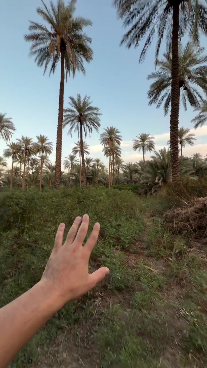 بغداد الراشديه • سند ٢٥ • أرض