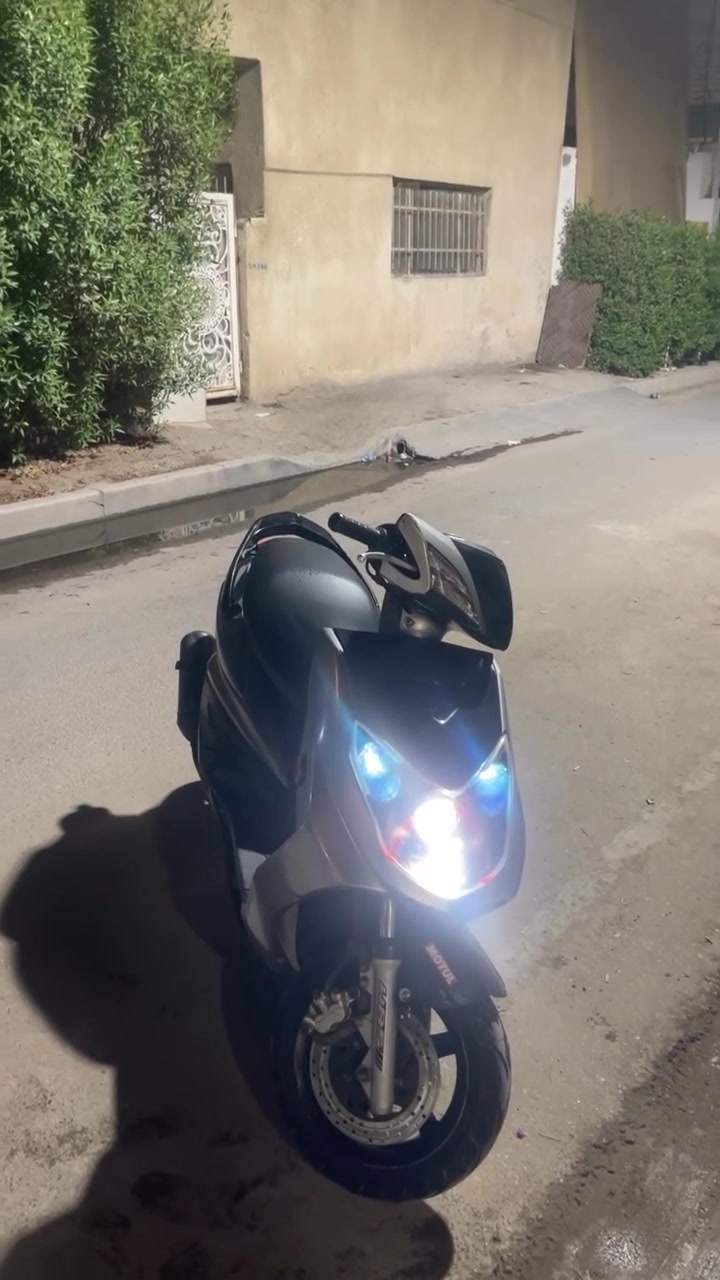 سكنس فحل • كوري • سلف رياضي