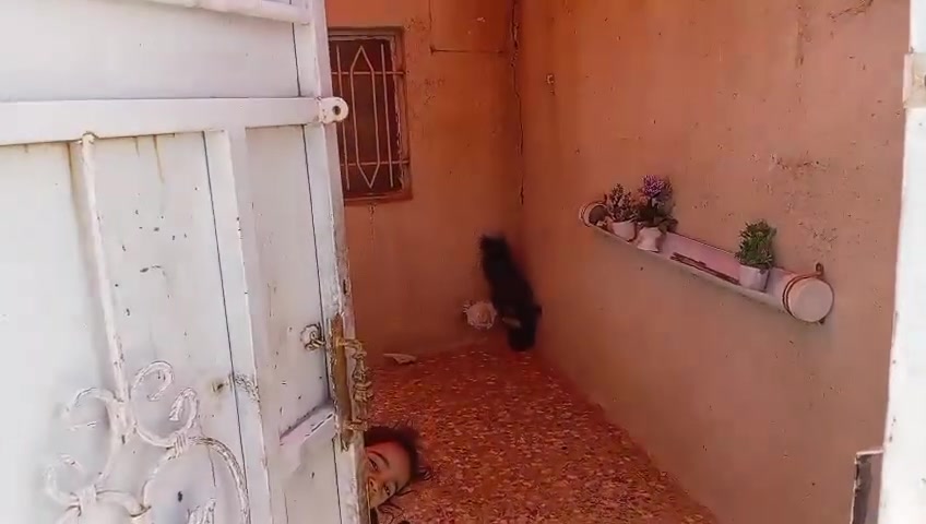 السلام عليكم بيت بلدوانم شارع أبو دراج مساحته ١٢٠ طابوك سعرة ٤٨ وبي مجال
للاستفسار‏‪***********‬‏
