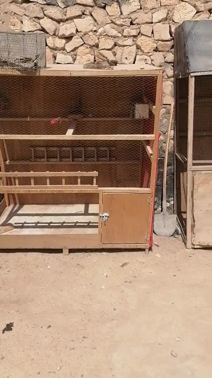 قفص البيع ***********
