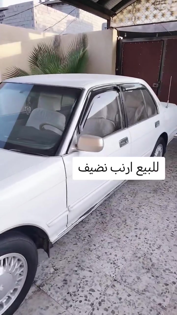 ارنب للبيع نضيف الموقع البصره ابي الخصيب سيتره نضيفه ومكفوله للتواصل رقم ***********
