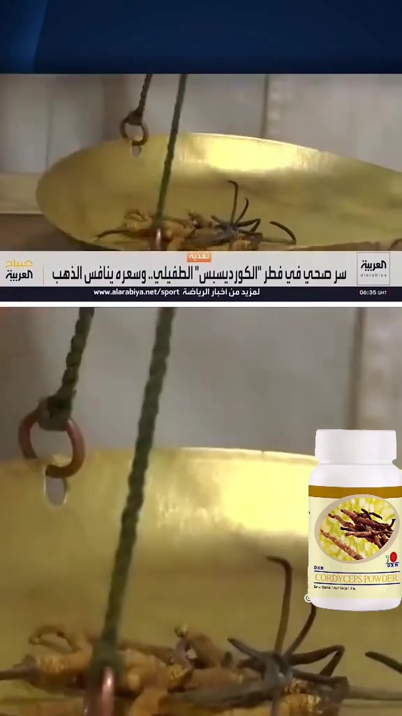الكوردسبس • طاقة • مكمل طبيعي