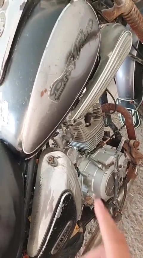 ايراني • مراوس • ديالى