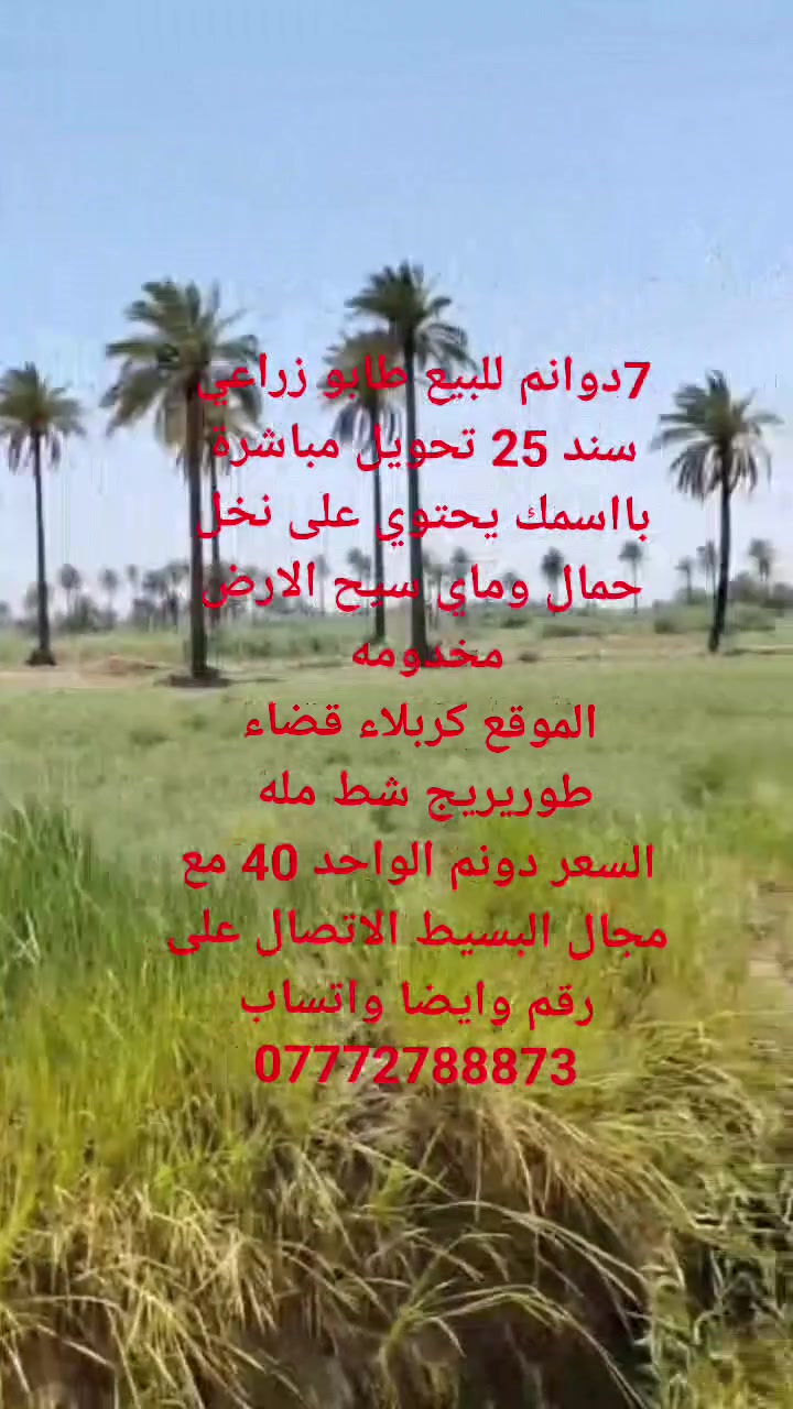 كربلاء طوريريج • شط مله • ٧
