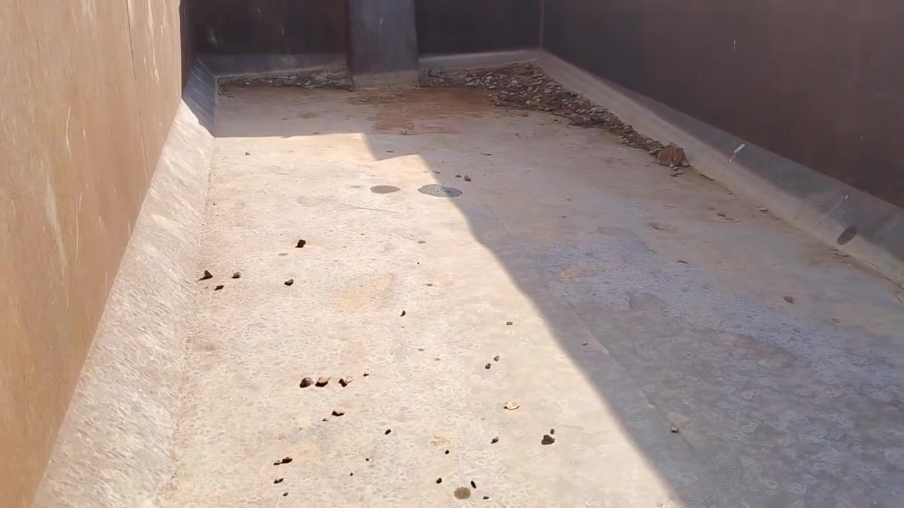 بدي اللماني مال قجمه جديد كامل ***********
***********
