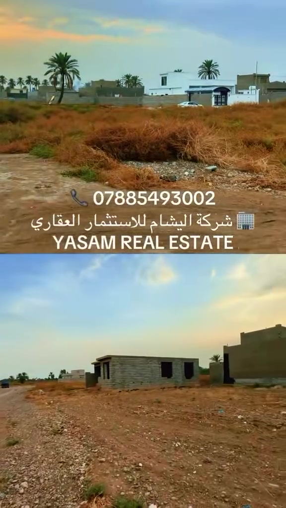 الضلوعية الحاوي • ٥٥٠م • سند ٢٥