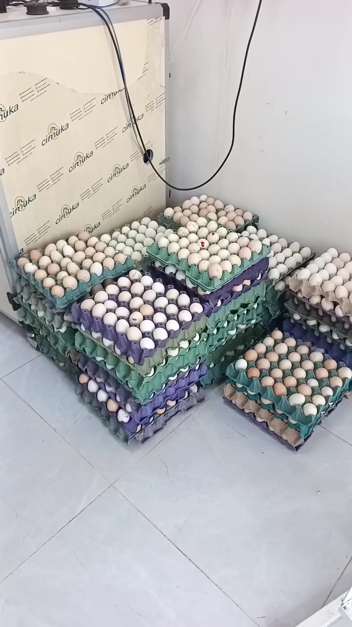 مفاقس • تصليح وبرمجة • تكريت