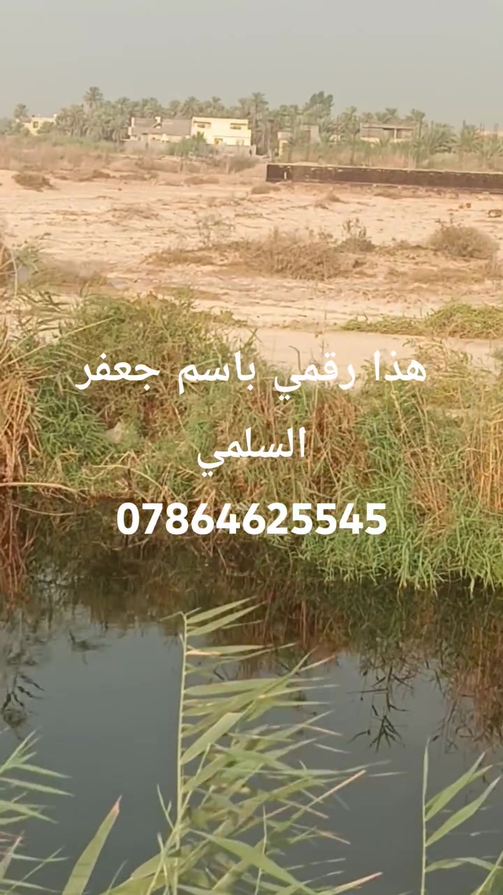 كربلاء عگد بني تميم • ملك صرف سند ٢٥ • ٤ كيلوا