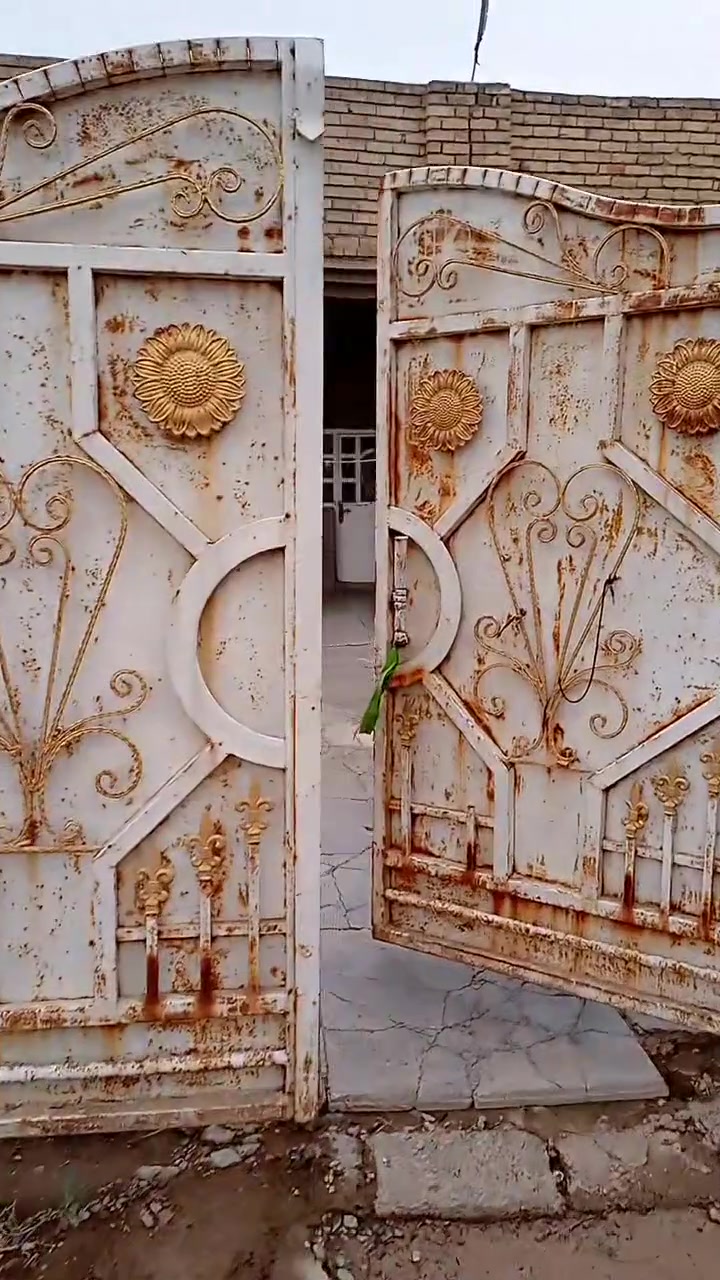طابو زراعي • ٣٠٠م • خلف مطعم جواد
