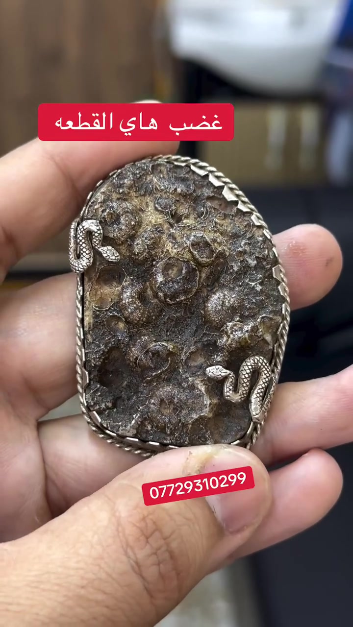 السلام عليكم / مكالد زواعات وخواتم للبيع كل قطعه اله سعر يوجد توصيل لجميع المحافضات
***********
