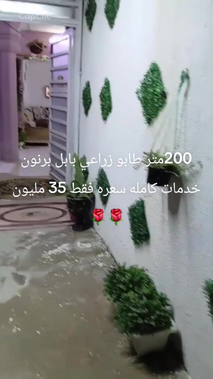 ٢٠٠م • طابو زراعي • بابل برنون