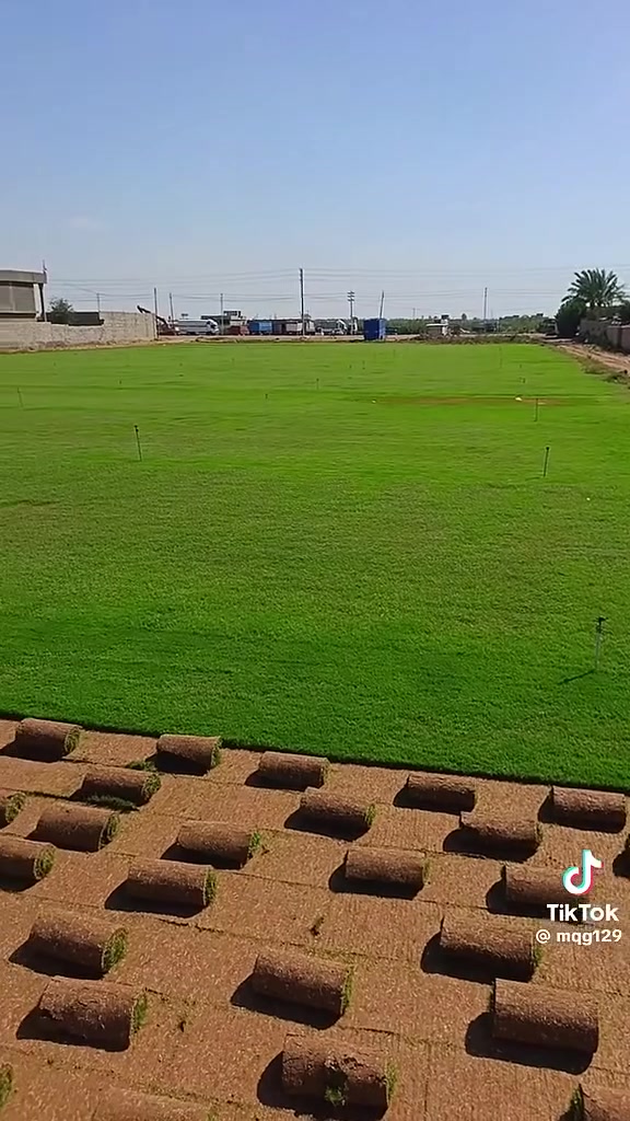 لا توجد تفاصيل
