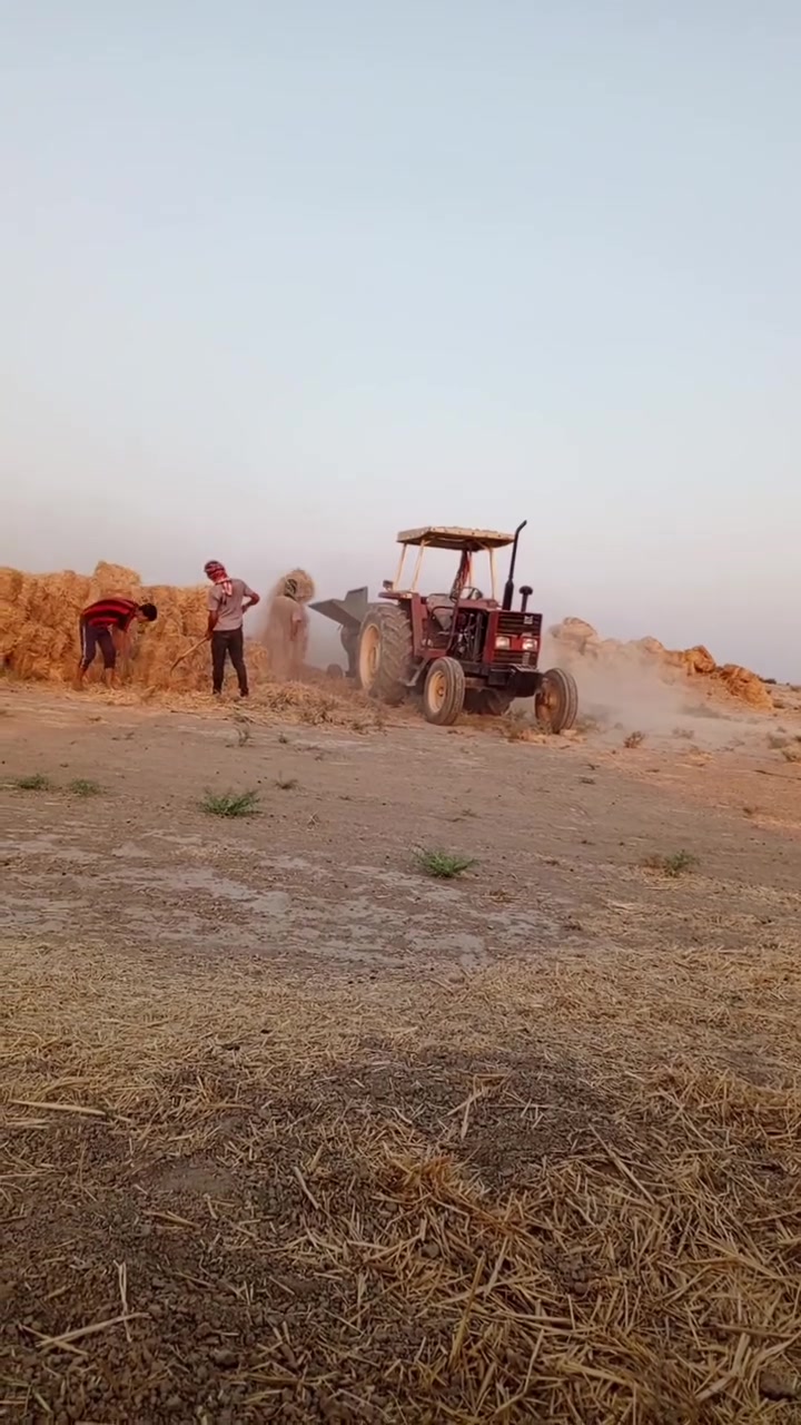 مكينة فيات ٧٨٠  جاهزة للبيع  مكفولة شرط من المحرك للكهربائيات  رقم وسنوية  بدون تحويل  بابل القاسم  عليه السلام  الشراي  يتصل والمايشتري  رجاء لايصرف  وقت واني ابخدمت الطيبين وبالخير  على تصير مصيبة
***********
