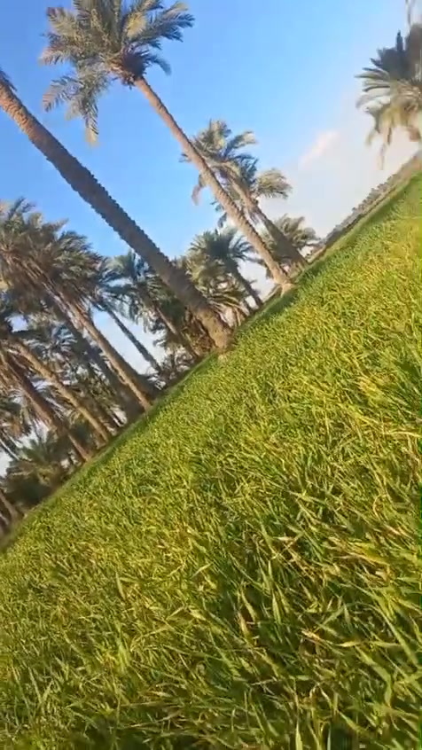 ٧ دوانم • زراعي • شاطئ الفرات