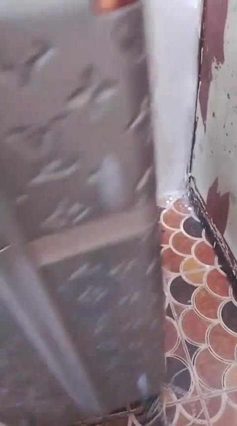 جنطة • نضيفه • البصرة
