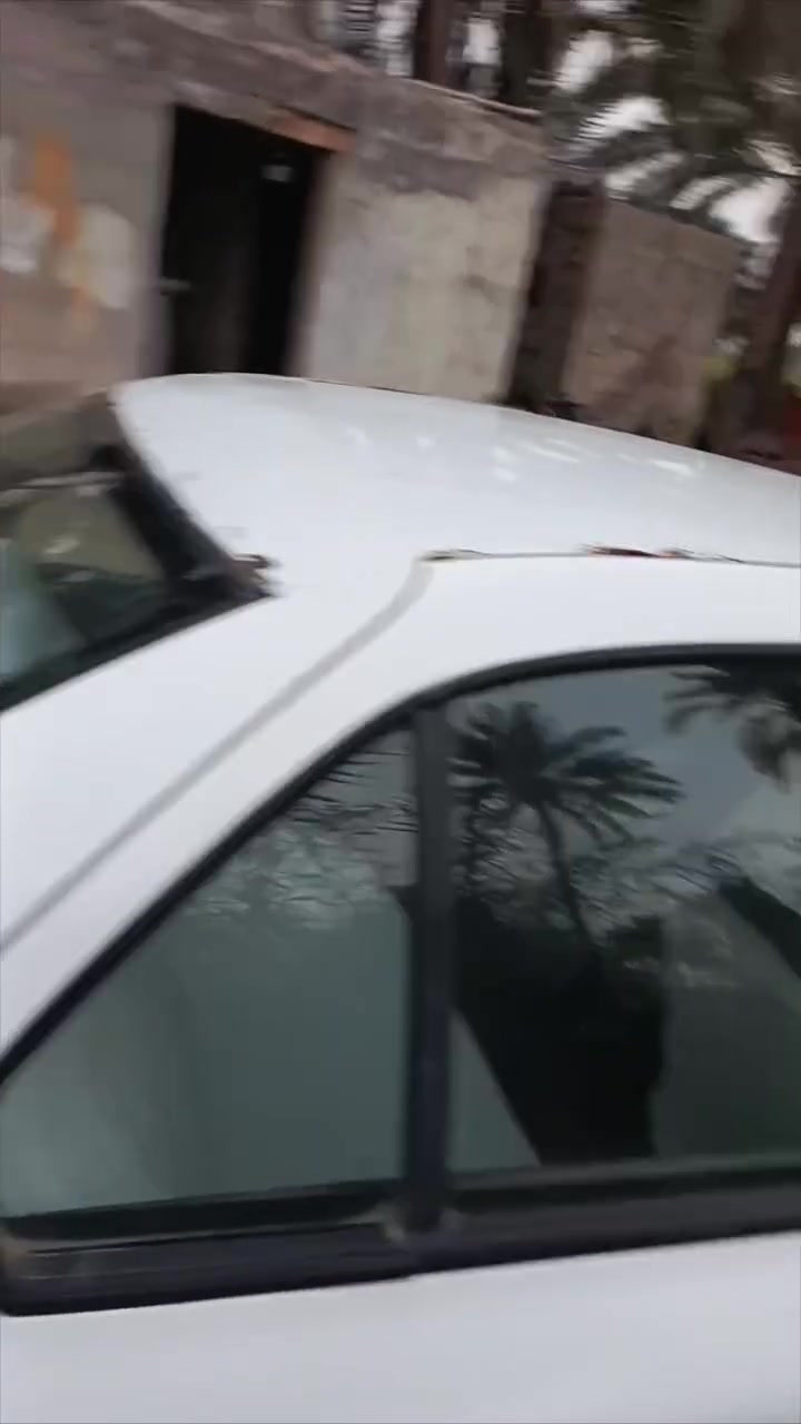 سمند • ٢٠١٠ • ديوانية الشامية