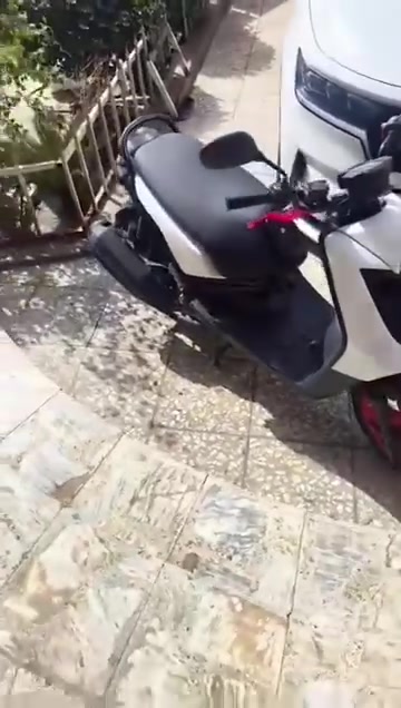 سكنس جبلي • ابو غريب • ما ناقصها