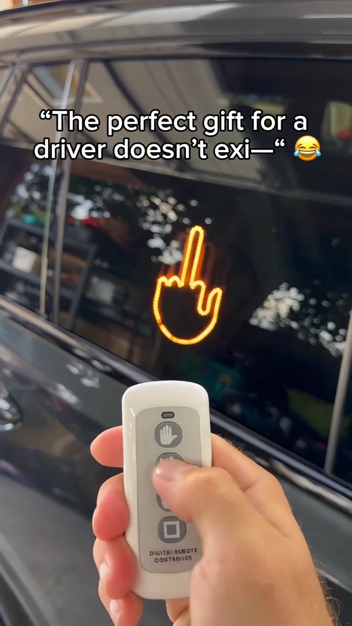 Get yours here! 🤣 

https://carglowco.com/products/led-hand-sign
