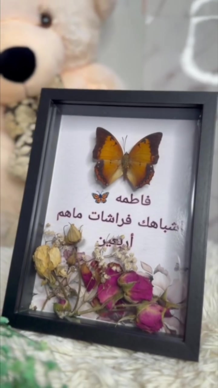 فراشة محنطة • إطار • تصميم مخصص