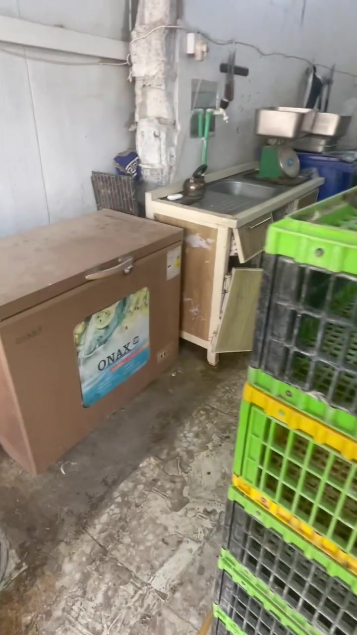 السلام عليكم بيع محل دجاج 🐓 جاهز تجي وتفتح بيه موقع المحل حي آور مقابل سوق الصبات الواقع بين صباح الخياط وجامع الفردوس عل شارع العام ***********
