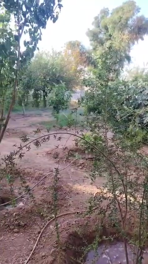 للبيع للبيع 📢 ، قطعه أرض مميزه للبيع مساحة 500 متر قطاع الخامس  قرب مزرعة غسان النموذجية جار استاذ جلال غانم واستاذ علي ابو مقبل مع وجود ٢ خطوط ماء شرب اساله ( حصراً لأهل المنطقة) السعر  عالخاص
***********
للبيع للبيع 📢 ، قطعه أرض مميزه للبيع مساحة 500 متر قطاع الخامس  قرب مزرعة غسان النموذجية جار استاذ جلال غانم واستاذ علي ابو مقبل مع وجود ٢ خطوط ماء شرب اساله ( حصراً لأهل المنطقة) السعر  عالخاص
