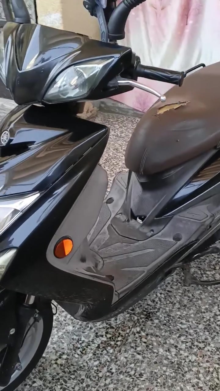 سكنس • ياباني • مكفوله