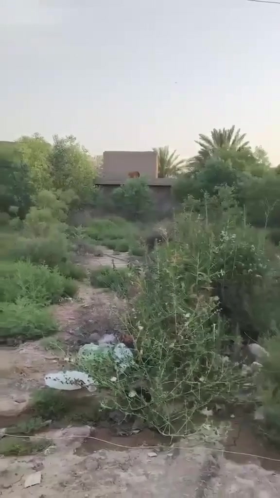 إعلان رقم-4
🏡 قطعة أرض للبيع

📍 ديالى – جديدة الشط – البعلكة – حي الزهراء – خلف منزل الأستاذ علي

📐 ٤٠٠ م² | 💧⚡ خدمات كاملة
🛣️ شارع أكثر من 4 أمتار
🔹 بيع كامل أو حسب الطلب

للاستفسار الاتصال على الرقم واتساب
📞 ***********
