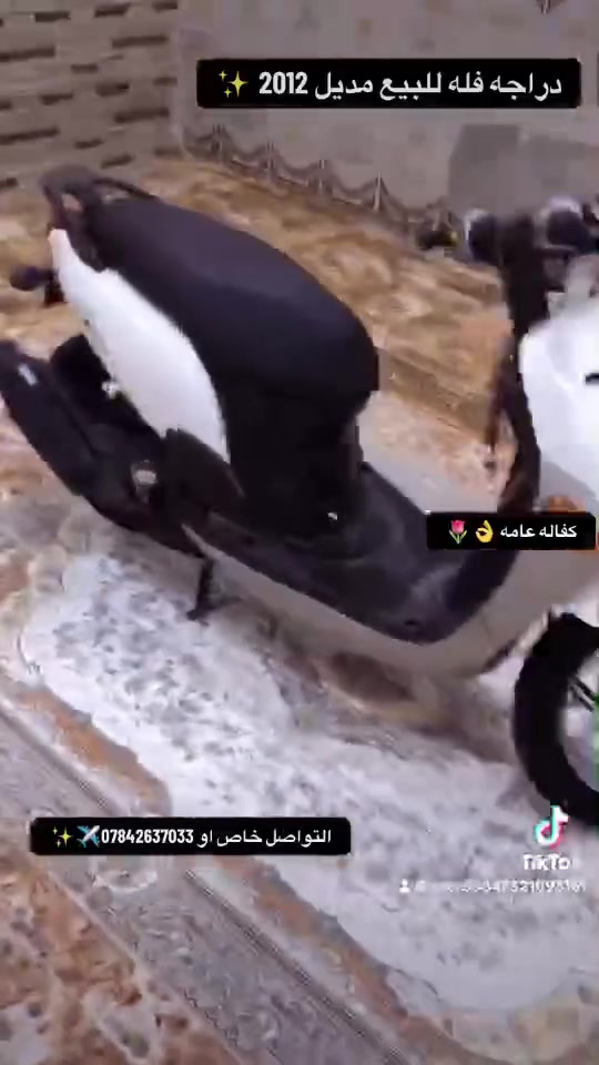 فله • مديل 12 • مكفولة
