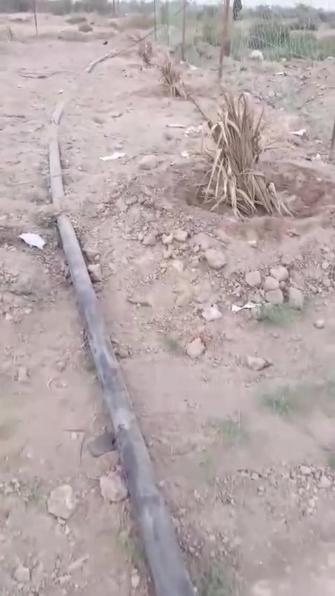 كرمة بني سعيد • ١١٢٢م • ٤٥ نخلة