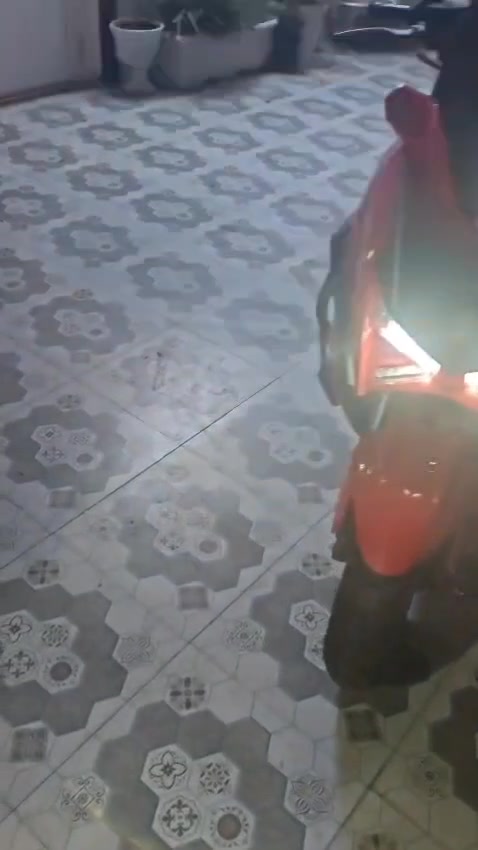 سلام عليكم 
ماطور سترونك موديل 26 جديد اربعة اشهر استخدام واوراقه كامله وكلش نظيف سعره مليون وميه وبي مجال قليل بيع او مراوس ب (تايكر) نظيف الاتصال على الرقم التالي
***********
