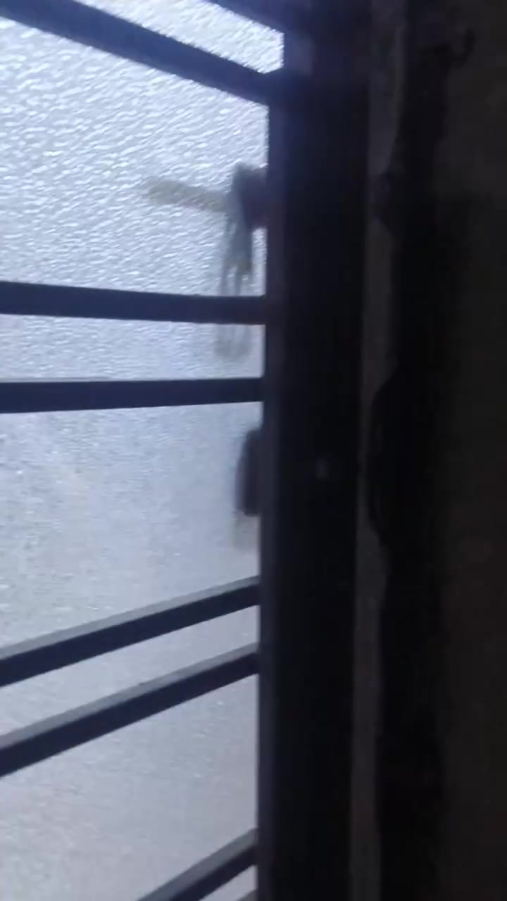 بيت لبيع طابق ارضي مع بيتونه يعني غرفه  مساحته البيت ١٠٠ متر زعفرانيه  بستان بيت بنيه 
استفسار هذا رقم *********** سعر ٩٥ مليون
