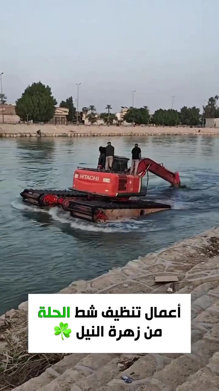 اعمال تنظيف شط الحلة من زهرة النيل 👏🏻#بابل
