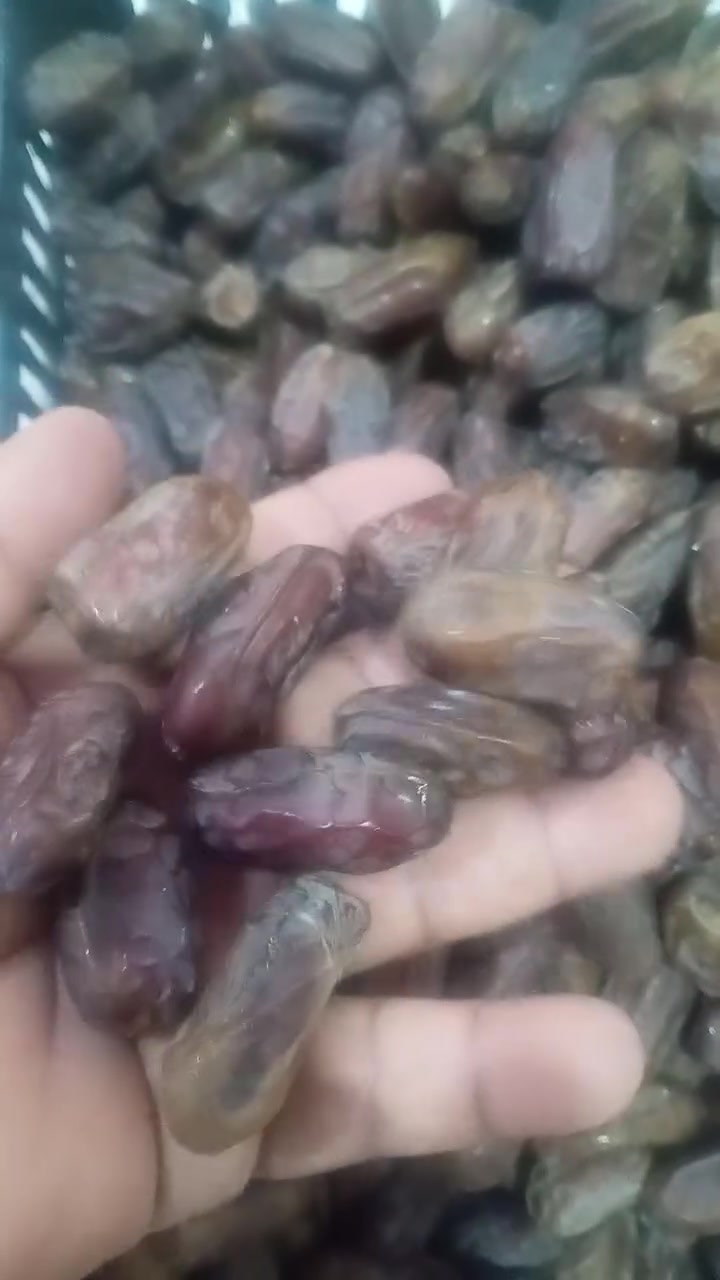 فسائل • تمور • توصيل