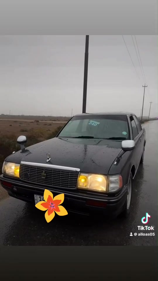 السلام عليكم أرنب ديلوكس ابتر موديل 95 مصبوغه جماليه فقط سعرها58 وبيها مجال بسمي تحويل ثاني مكانها بصره ابو الخصيب رقم الهاتف *********** للاستفسار اكثر ***********
