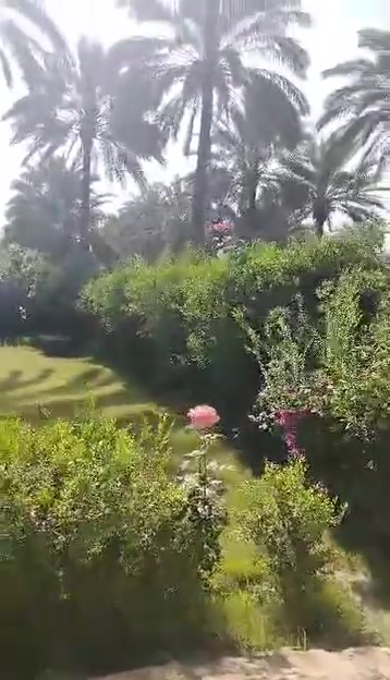 سلام عليكم يوجد بيت للبيع مساحه الف متر يحتوي على 2غرف نوم واستقبال ومطبخ وحولي وصحيات طابو زراعي سند25 إقرار محكمة العنوان بغداد الراشديه قرب كاظم العلي الاتصال على الرقم ***********
