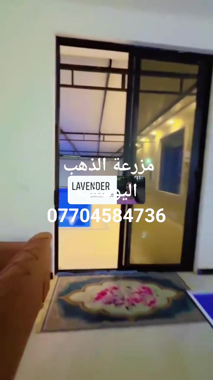 الشفت الصباحي بـ150 فقط!!🫢🔥
والشفـت المسائي بـ175فقط!!🔥 
متوفر شفت صباحي
(باستثناء أيام العطل الرسمية.)
(مزرعة الذهب )موثقه بتـطبيق اجرلي 
المزرعه تحتوي ع ✨
ملعب كرة طائره
باربيكو كامل وادوات شوي🍡🍢
غرفتين نوم 🚪🛌
صاله كبيره 🛋️
صحيات 🧼🛁
مطبخ 🍽️🍢
حديقه كبيره 🛤️🏝️
مسبح اطفال ومسبح كبار 🏊🏻‍♂️
مراجيح 🎠
 
عنوان المزرعه 📍اليوسفيه
عن باب الاغا 10 دقايق فقط

للحجز والاستفسار ع لخاص او ع الارقام التاليه 

***********
