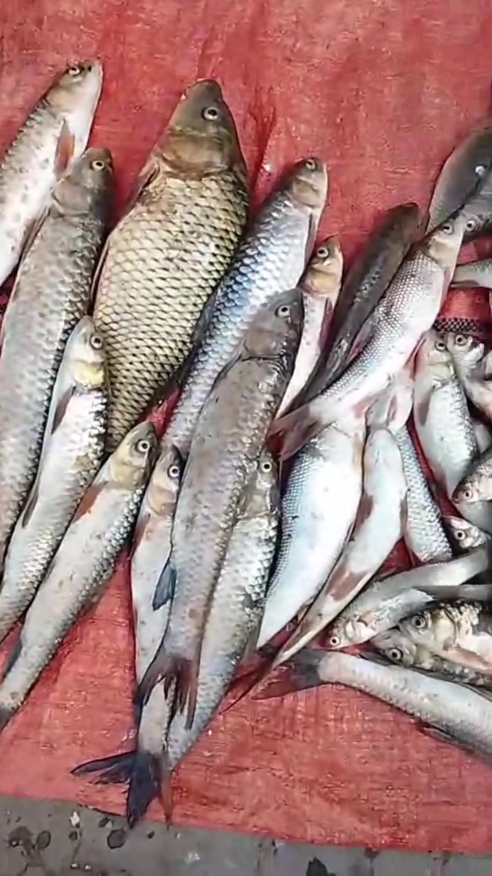 ساعة 2 ونص • فلكه قائم مقام • توصيل خانقين
