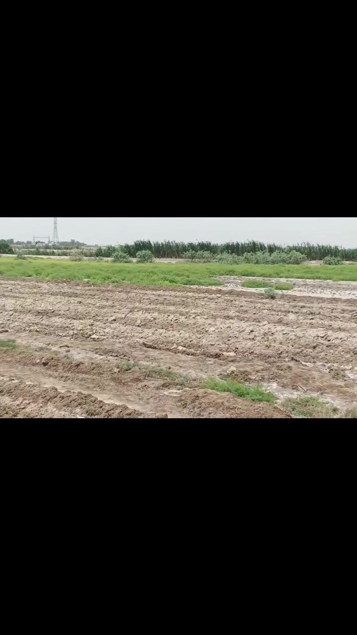 السلام عليكم ارض زراعيه   مع البيت جاهز للسكن  للبيع 11دونم صالحه للزراعه

كافت الخدمات شارع تبليط كهرباء وماء
 
قريب ع شارع العام تبعد 200متر 

قرب بانزين خانه حجي سالم للستفسار

 الاتصال عك***********‬‏ او تفضل خاص
