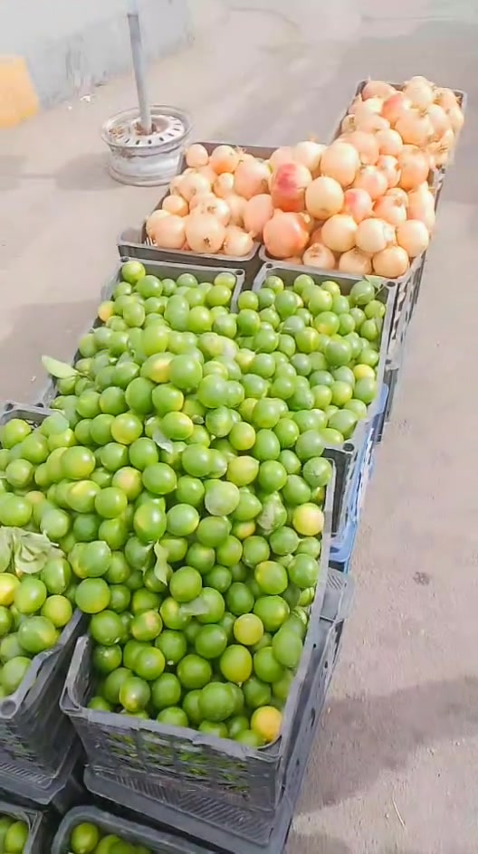 بدون تفاصيل • بلد • غير محدد