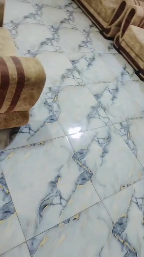 بيت • سند ٢٥ • نزلت سيد أيوب