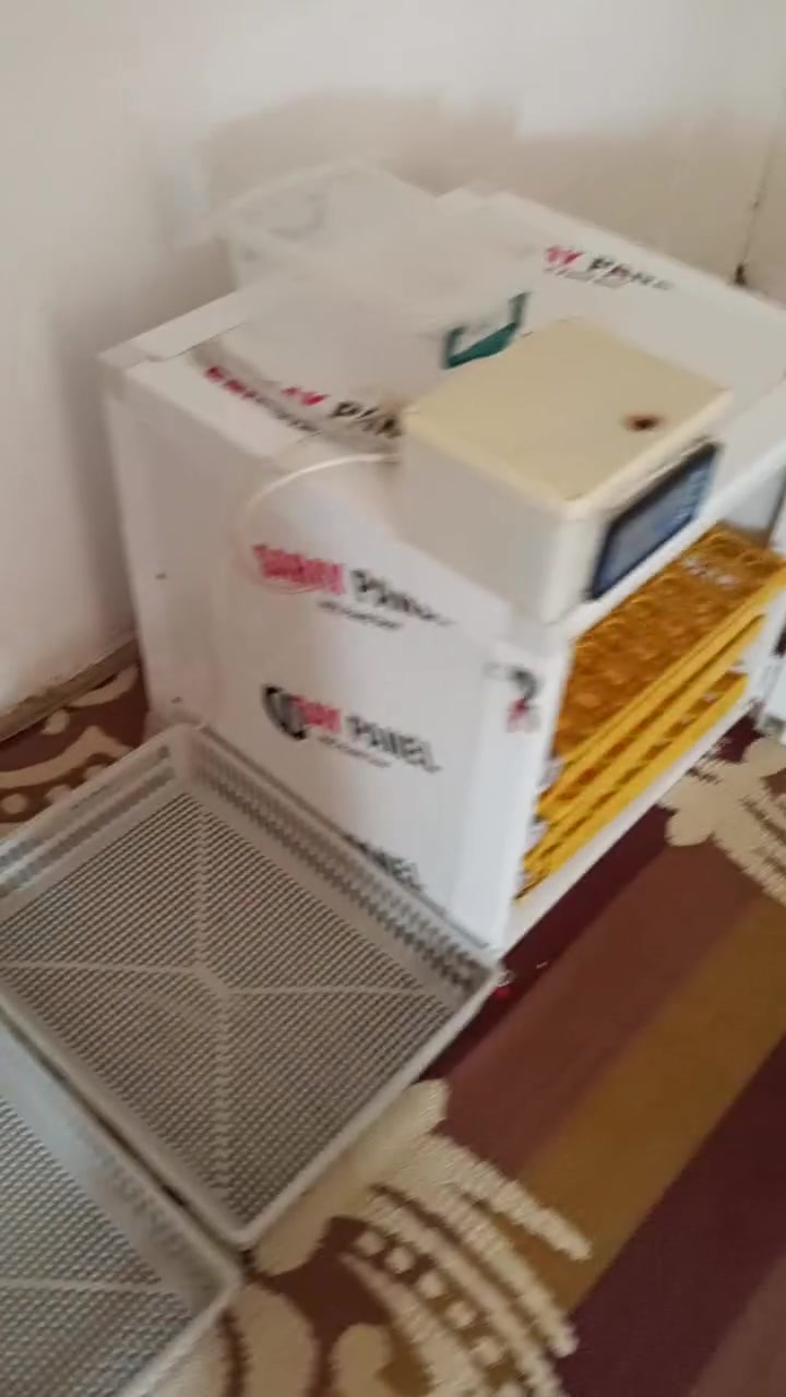 فقاسة • ٢٩٠ بيضة • تفقيص ٨٠-٩٠٪