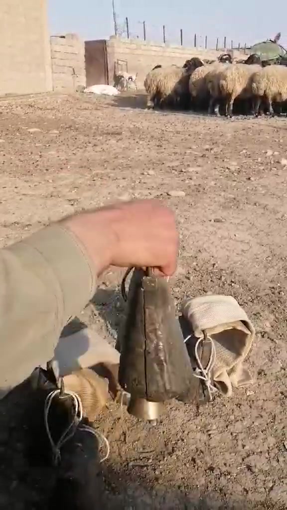 السلام عليكم
يوجد اجراس احلبيات الاصليات شرط ابو 3 دكات البيع 
العنوان الموصل 
التواصل ‏‪***********‬‏ يوجد واتساب

