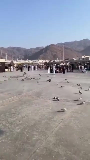 زيارة جبل أحد • حج وعمرة • مكتب الحاج عباس