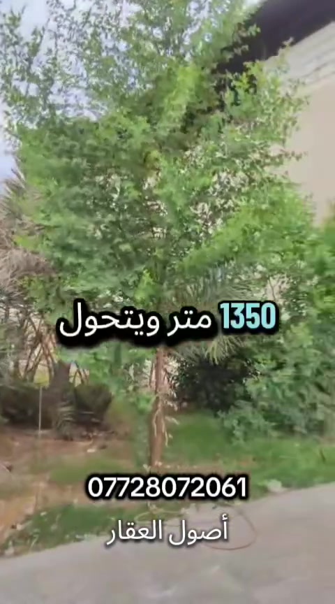 البصرة أبي الخصيب • ١٣٥٠م • طابو صرف