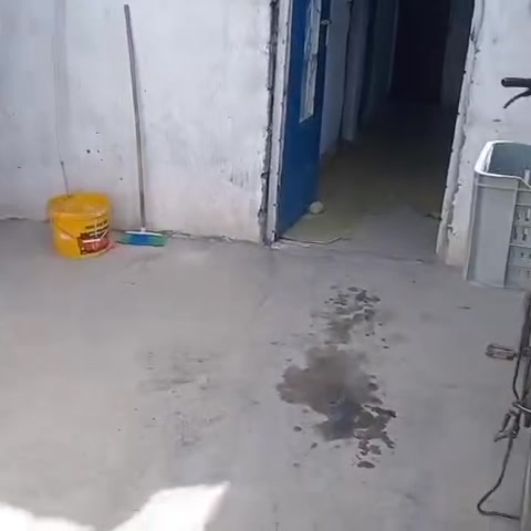 ٣+ غرف • حوش كبير • صالة كبيرة
