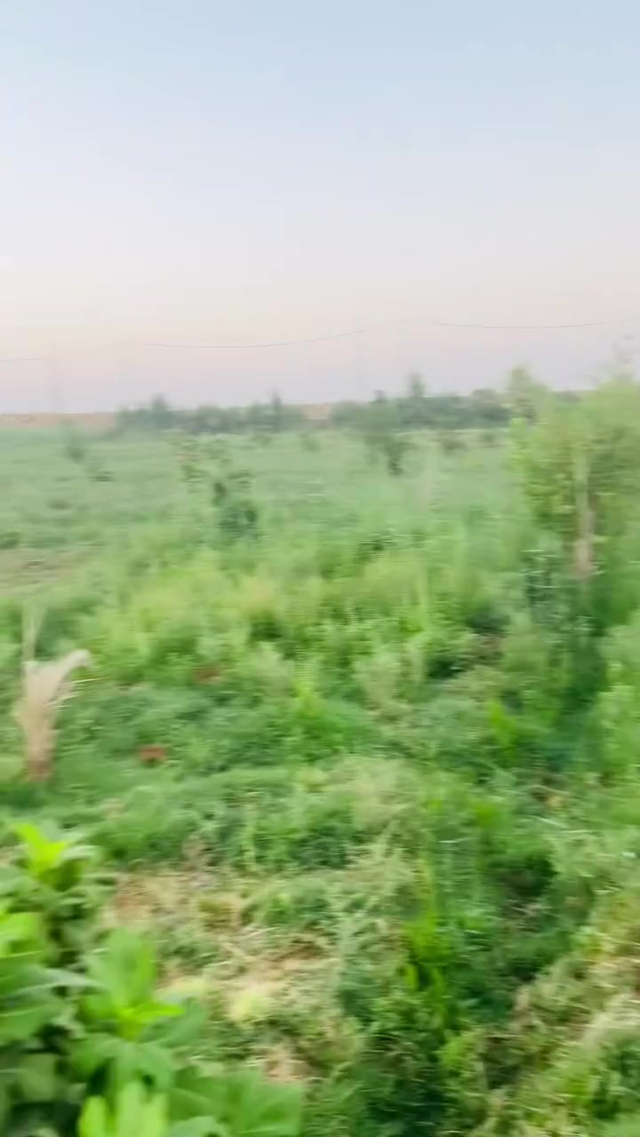 ارض زراعيه 2دونم للبيع على الشط مباشره واجه 47 ونزال 107 ماي كهرباء متوفره مكانها نزله الشريف جهه الطاقه  
***********
