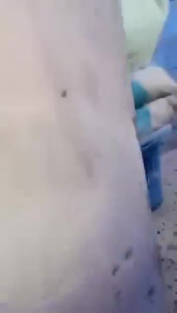 يا الله ب ٢٠٠الف فقط اجاره
بيت الإيجار الشعب حي البساتين قرب أسواق الصدرين

غرفه 1

مطبخ خارجي و داخلي

ستقبال1

ترك ٢

وباقي التفاصيل موجوده بل تصوير

الاتصال ***********
